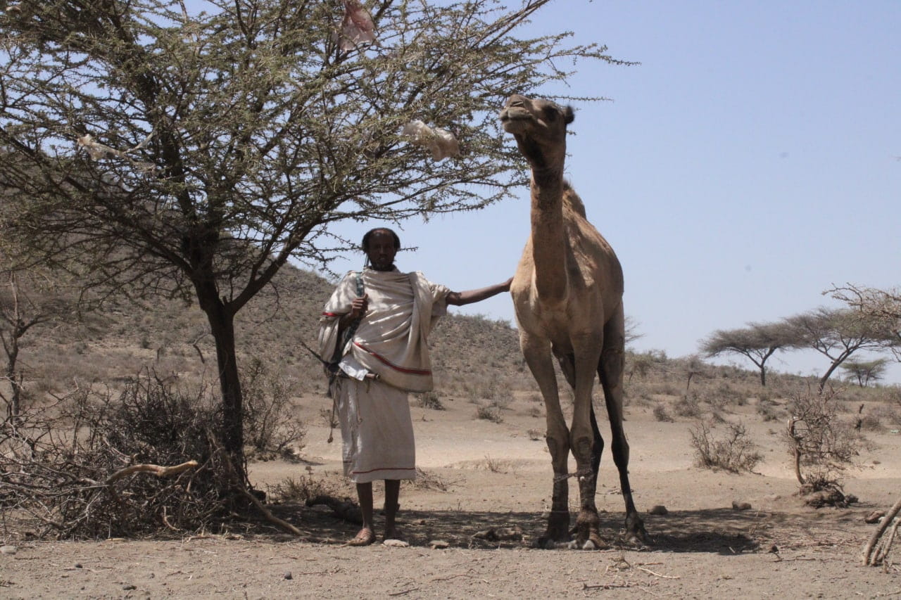 Voices of Kereyu: Geda & Dabit Community Assessment