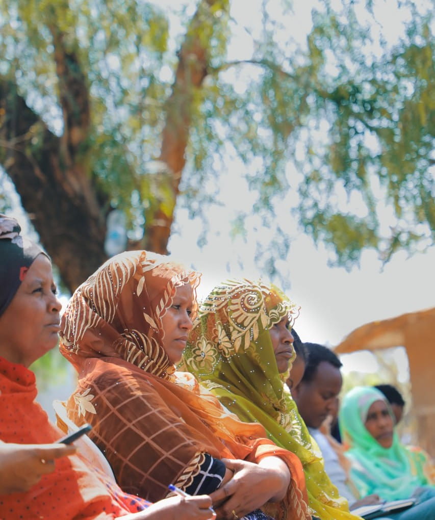 CSSP2 Women's Peacebuilding Programme - 5