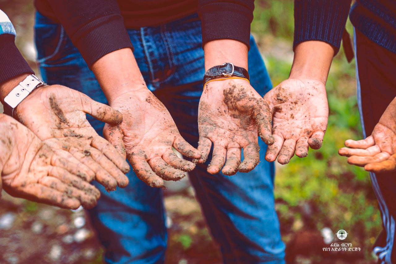 Green Legacy for Peace: Planting Unity in Bole Sub-City